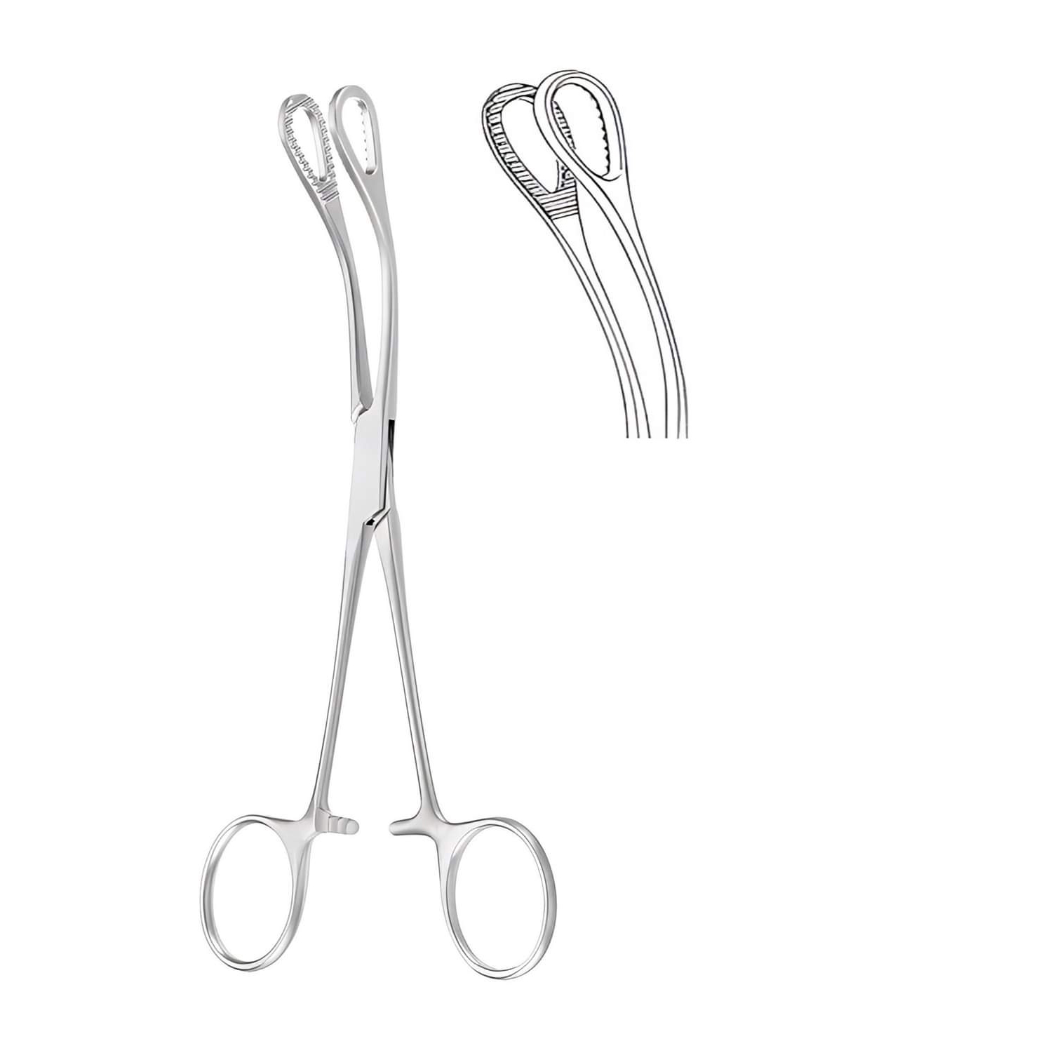 Dressing Forceps